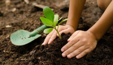 İlkokullara ekolojik bahçeler kazandırılacak
