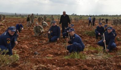 GKK’dan Kalkanlı’ya 7 bin fidan