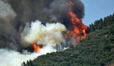 Orman yangınına neden olana 100 asgari ücret ve 15 yıl hapis cezası