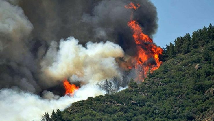 Orman yangınına neden olana 100 asgari ücret ve 15 yıl hapis cezası