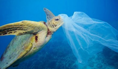 171 trilyon plastik parça okyanuslarda yüzüyor