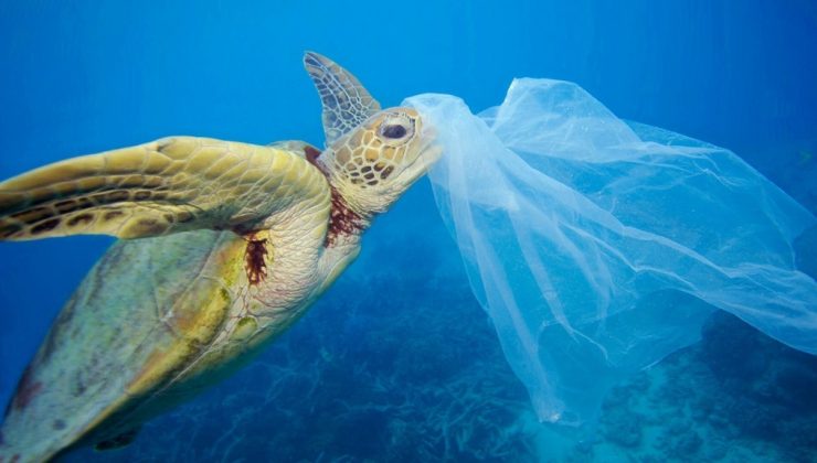 Okyanuslarda balıktan çok plastik var