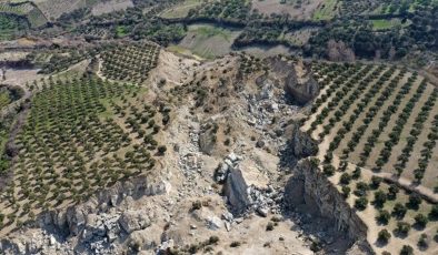 Depremde ikiye bölünen zeytinlik bölgesi için kritik uyarı