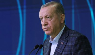 Erdoğan: Tilki yetişemediği üzüme koruk dermiş, tilkilerden nedir çektiğimiz