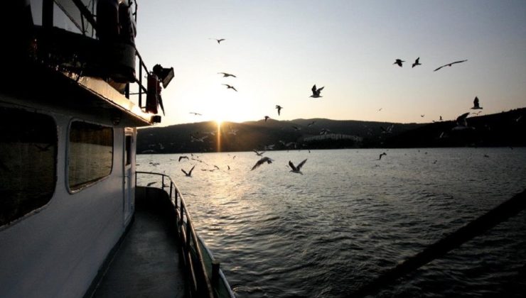 Marmara Denizi’nde büyük tehlike: Türleri her geçen gün azalıyor