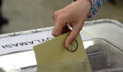 Oy sandığı sorgulama ekranı e-Devlet üzerinden yayınlandı