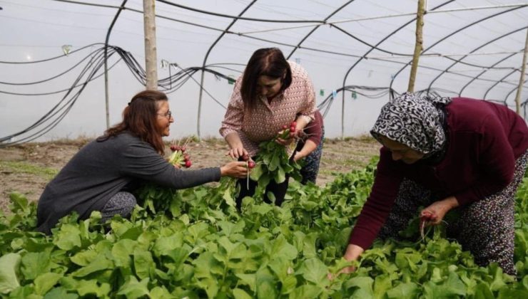 Selvi Kılıçdaroğlu çiftçi kadınlarla buluştu
