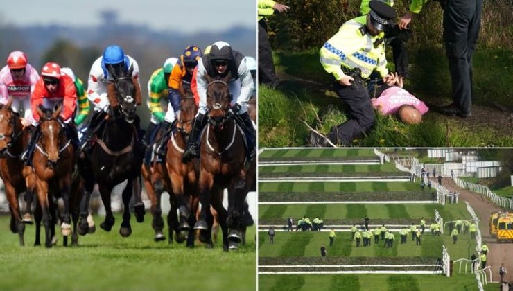 ‘A disgrace’: Animal rights groups call for jump racing ban after three horses die at Aintree