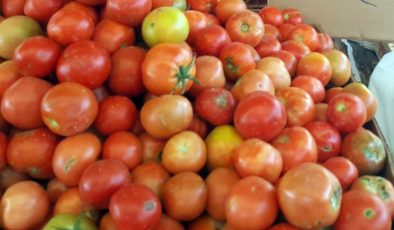 Üretilen domates “iç piyasa yerine Güney’e satılıyor”