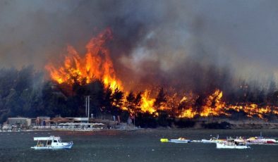 Bodrum’daki yangının faili ormanı 100 bin TL’ye yakmış