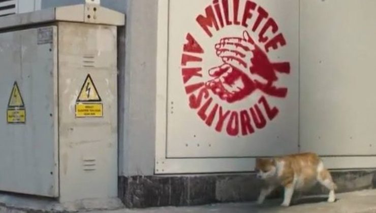 CHP’den trafolara kedi önlemleri