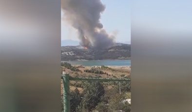 Adana’da orman yangını başladı