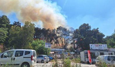 Antalya’da yerleşim yerlerine yakın alanda orman yangını