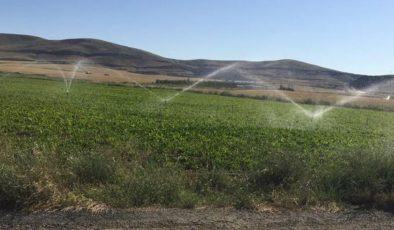 Çiftçilerin 28 milyon borcu ödendi, araziler yine sulanmaya başladı