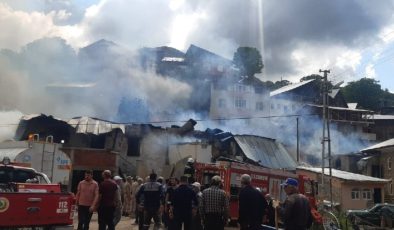Erzurum’da bir evde başlayan yangın 10 evi kül etti