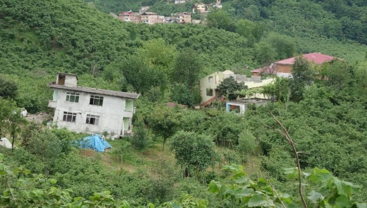 Trabzon’da korkutan görüntü: Vatandaşlar endişeli 