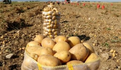 Patates üreticilerine itiraz için ikinci şans