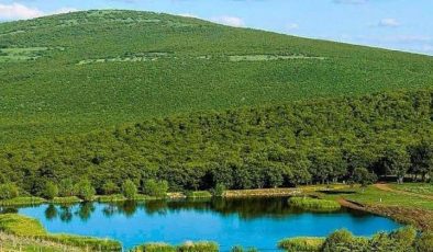 AKP’li belediye izin verdi: Doğa harikası bitti