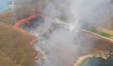 Avşa adasında yangın