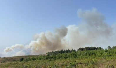 Beykoz’da 2 farklı bölgede orman yangını