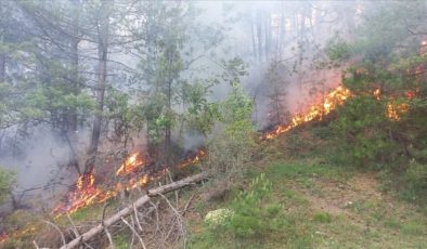 Bolu’da yıldırım düşmesi sonucu orman yangını çıktı