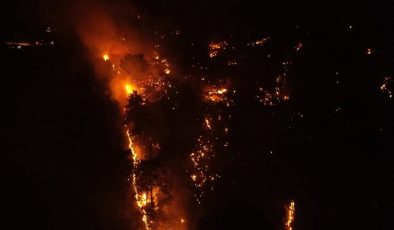 Çanakkale’de orman yangını! Hızla yayılıyor
