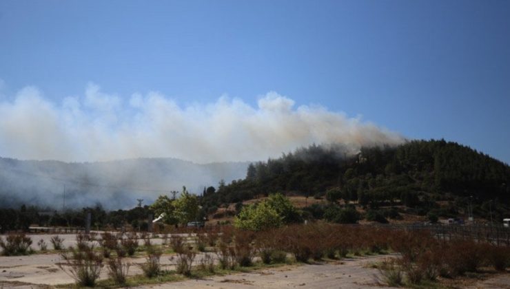 Gelibolu Tarihi Alan bölgesinde çıkan yangın kontrol altına alındı