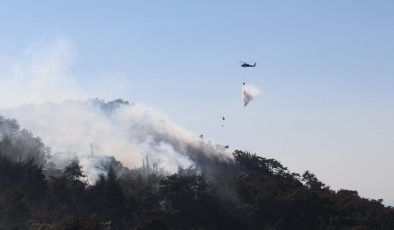 Hatay’daki orman yangını üçüncü gününde kontrol altına alındı