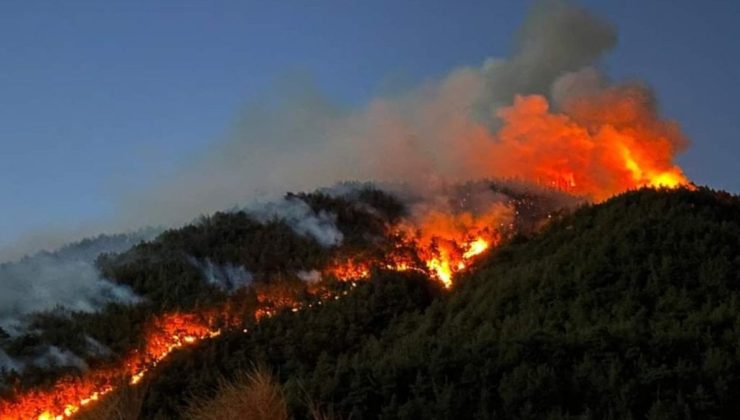 Hatay’daki orman yangınıyla ilgili 1 kişi tutuklandı