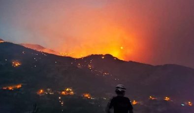 İzmir ve Manisa’da 9 orman ve çalı yangını