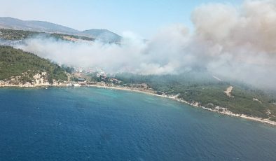 İzmir’de iki ayrı yerde orman yangını