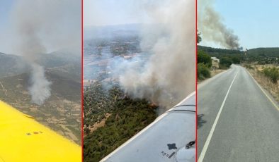 İzmir’in Ödemiş ve Kınık ilçelerinde orman yangını çıktı