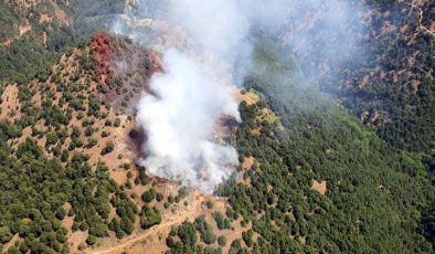 Manisa’da orman yangını: Rüzgarın etkisiyle yayılıyor…