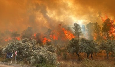 Milas’ta makilik alanda başlayan yangın ormana sıçradı