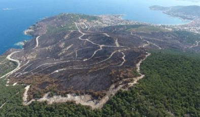 Temmuzda 295 orman yangını çıktı, 3 bin 160 hektar alan zarar gördü
