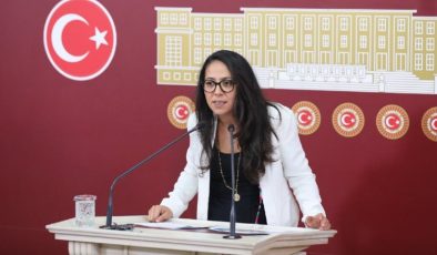 TİP Sözcüsü Sera Kadıgil: Ne devlet ne polis, ormanı 2 yıldır kadınlar savunuyor