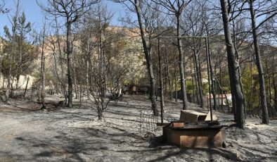 Orman yangınlarını önlemek için alınması gereken tedbirler