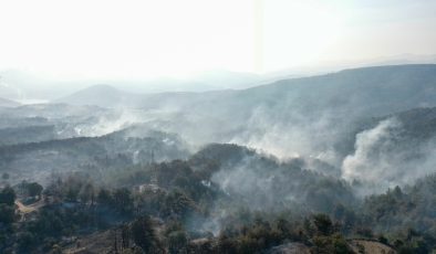 Çanakkale’de alevlerle mücadele: Tahliye edilen köy sayısı artıyor, 95 kişi dumandan etkilendi