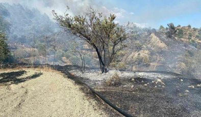 Limasol’daki yangın kısmen kontrol altında… 1,5 kilometrekarelik alan kül oldu