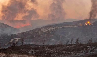 Limasol’daki yangın kısmen kontrol altında… Hristofyas, KKTC’den teklif geldiğini duyurdu