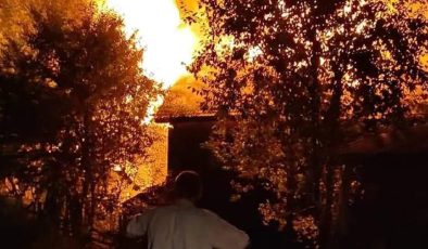 Alevler geceyi aydınlattı: 7 ev kül oldu