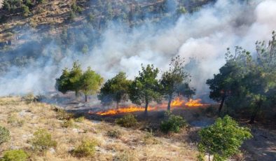 Amasya’da Harşena Kalesi yakınında orman yangını