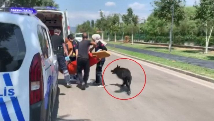 Bacağından vuruldu; köpeği yanından ayrılmadı