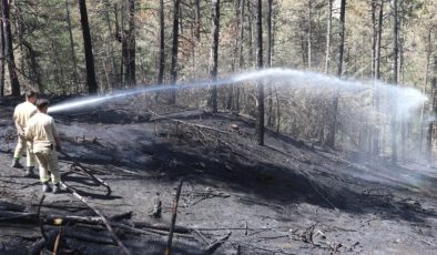 Bolu’da 20 orman yangını çıktı, 150 hektarlık alan zarar gördü