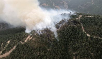 Bolu’da ormanlar yanıyor! Biri söndürülmeden bir diğeri başladı