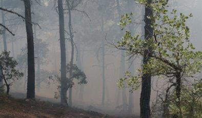 Burdur’da orman yangını