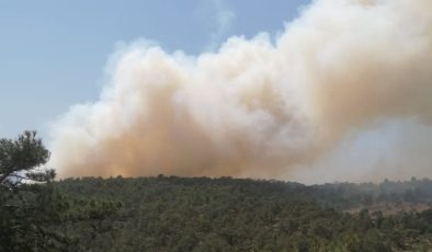 Denizli’de orman yangını çıktı