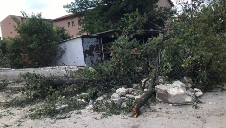 Edirne’de çok sayıda ağaç kesildi