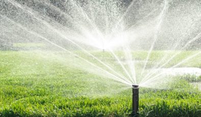 İSKİ’den tasarruf kararı: Bahçe ve peyzaj sulama abonelikleri durduruldu