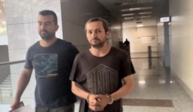 İstanbul’da kedilerin üzerine asit döken şüpheli tutuklandı